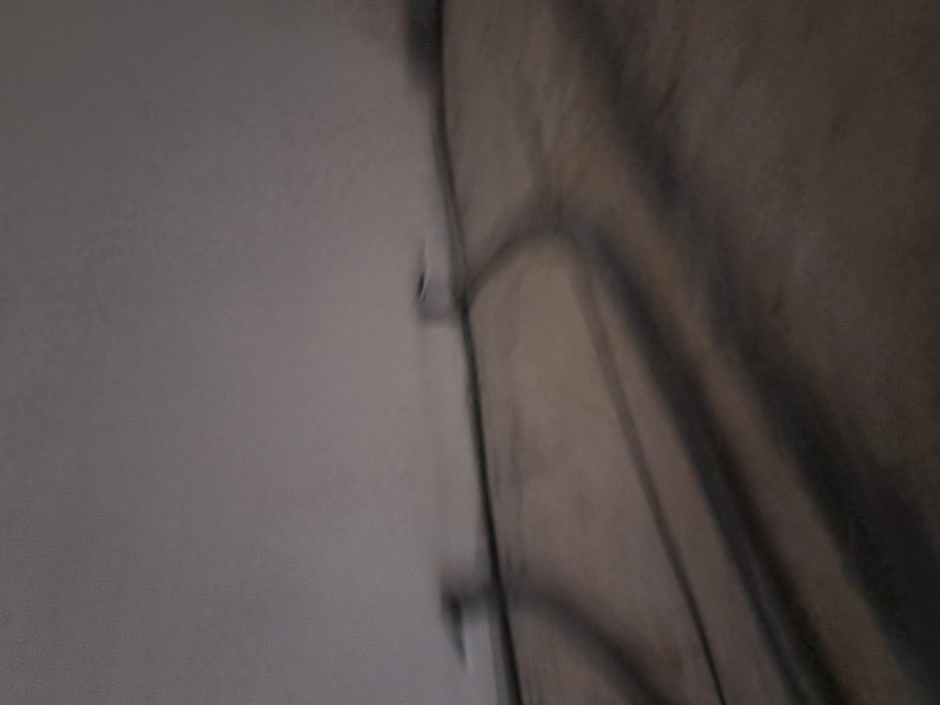 20260727_110529.jpg